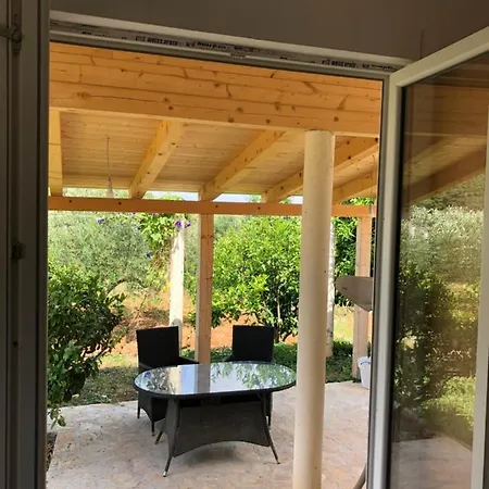 Antonija スタリー・グラード